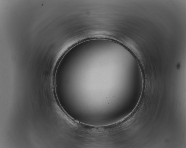 X0000089931384200707061030