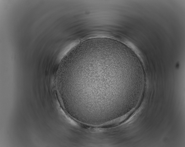 X0000089931385200707061030