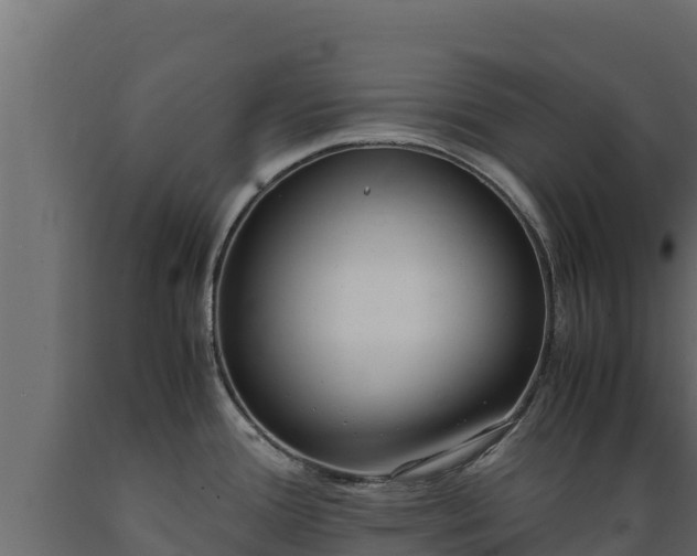 X0000089931388200707061030