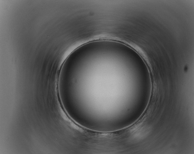 X0000089931390200707061030