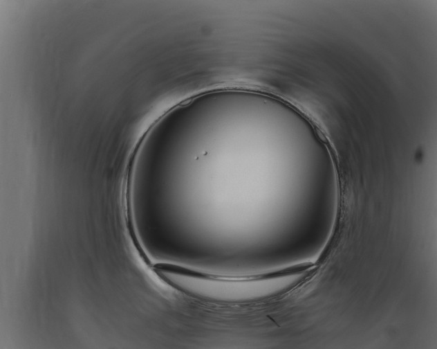 X0000089931391200707061030