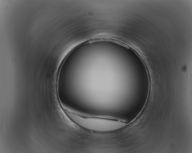 X0000089931392200707061030