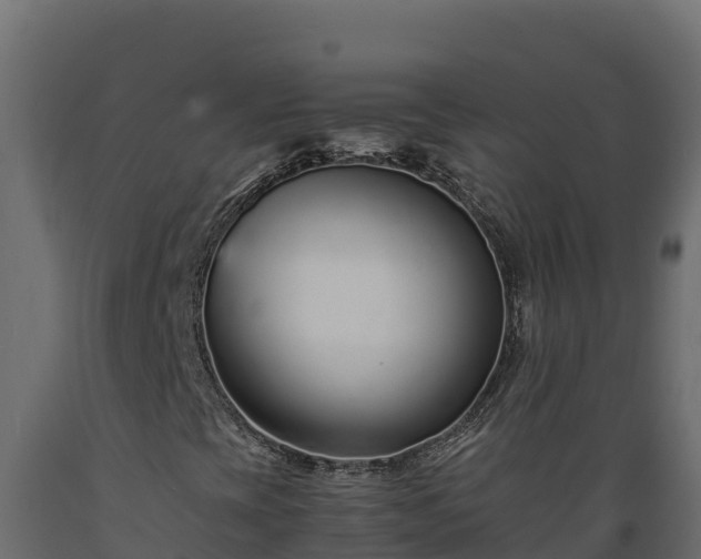 X0000089931393200707061030