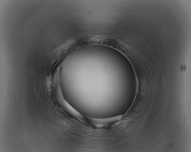 X0000089931394200707061030