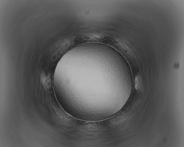 X0000089931395200707061030