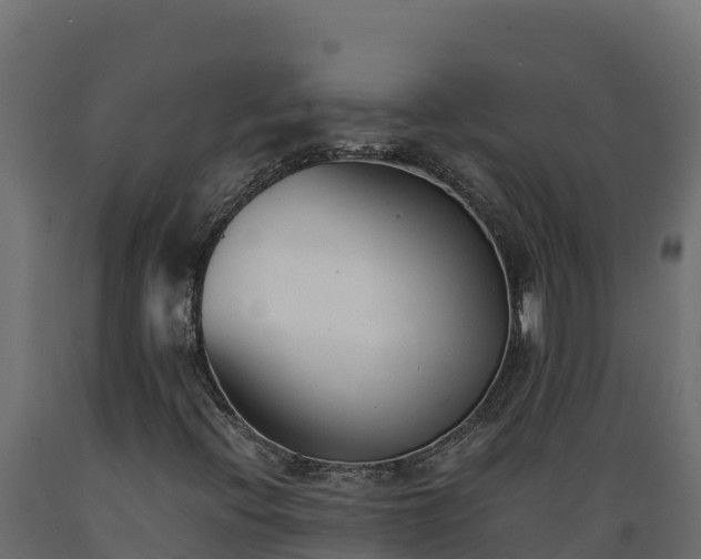 X0000089931396200707061030