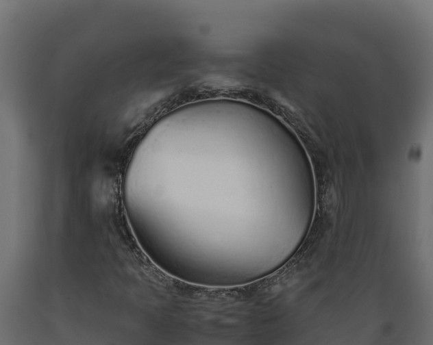 X0000089931397200707061030