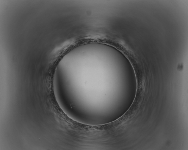 X0000089931398200707061030