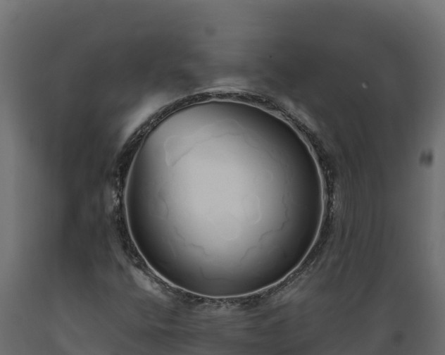 X0000089931400200707061030