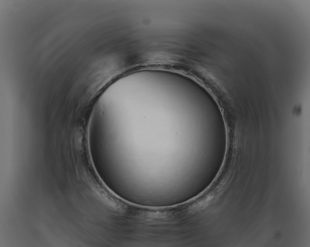 X0000089931401200707061030