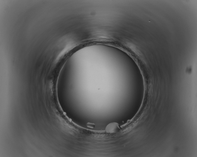 X0000089931402200707061030