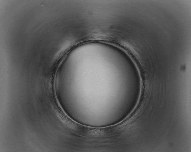 X0000089931403200707061030