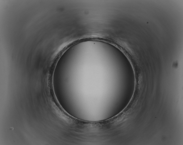 X0000089931404200707061030