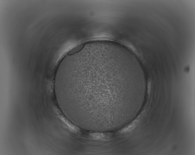 X0000089931405200707061030