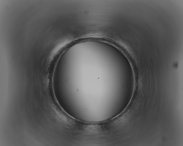 X0000089931406200707061030