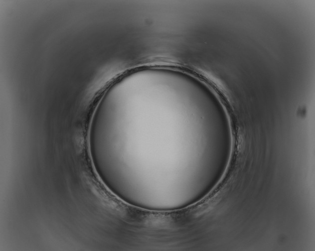 X0000089931407200707061030