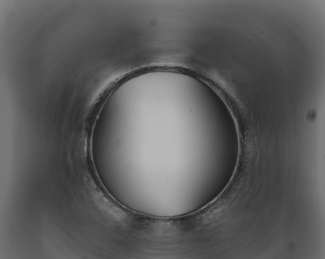 X0000089931408200707061030