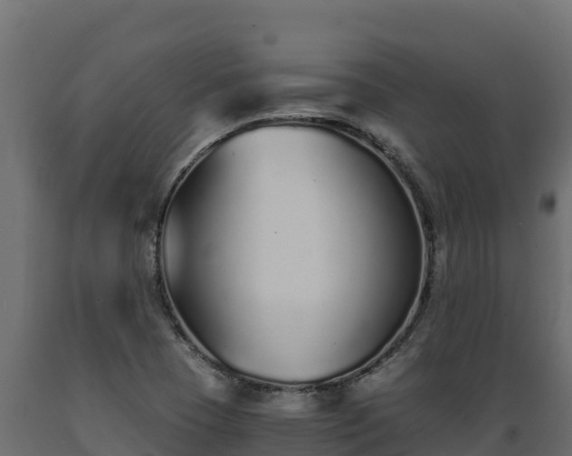 X0000089931409200707061030