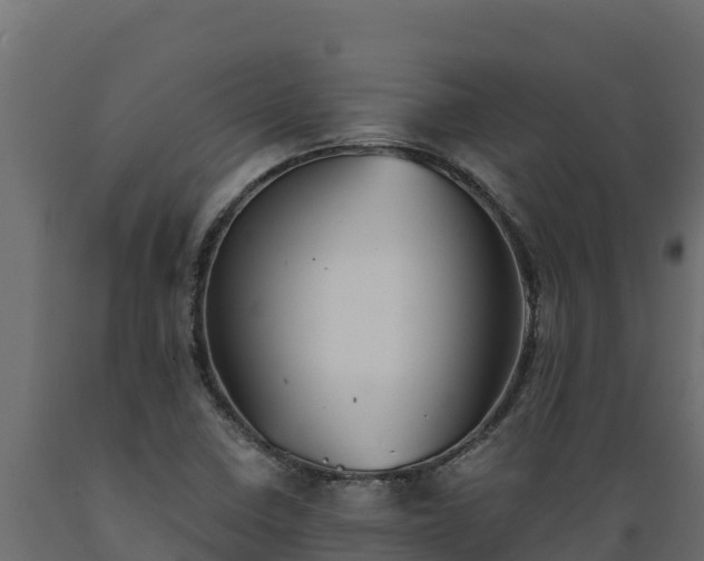 X0000089931410200707061030