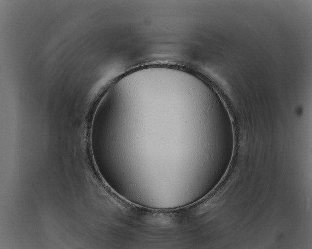 X0000089931411200707061030