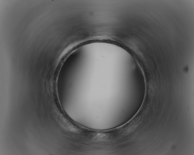 X0000089931412200707061030