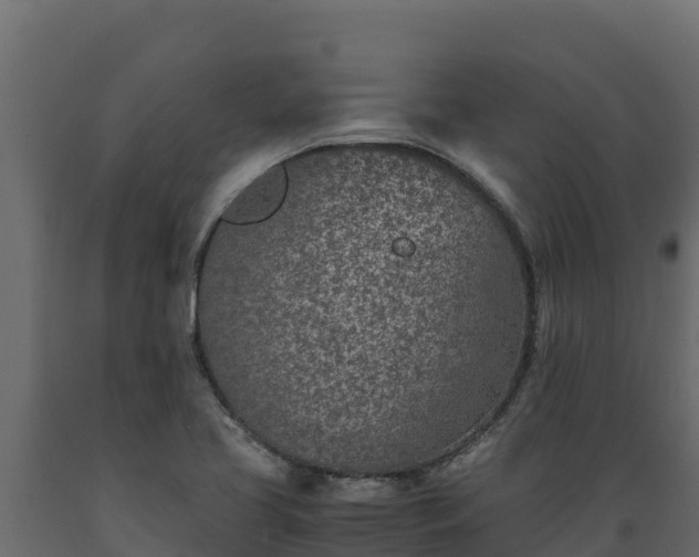 X0000089931413200707061030