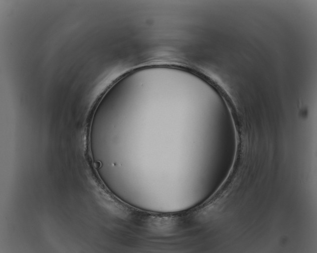 X0000089931415200707061030