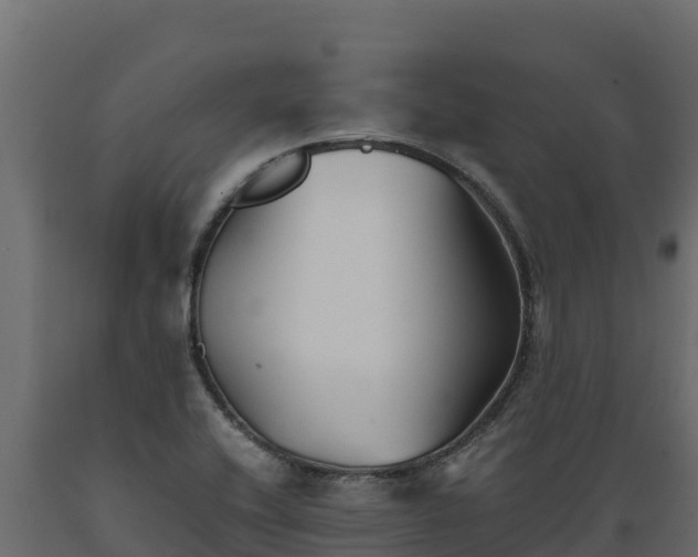 X0000089931416200707061030