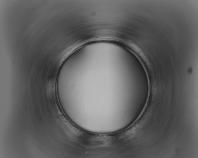 X0000089931417200707061030