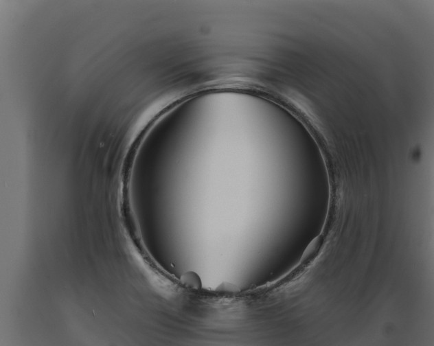 X0000089931418200707061030