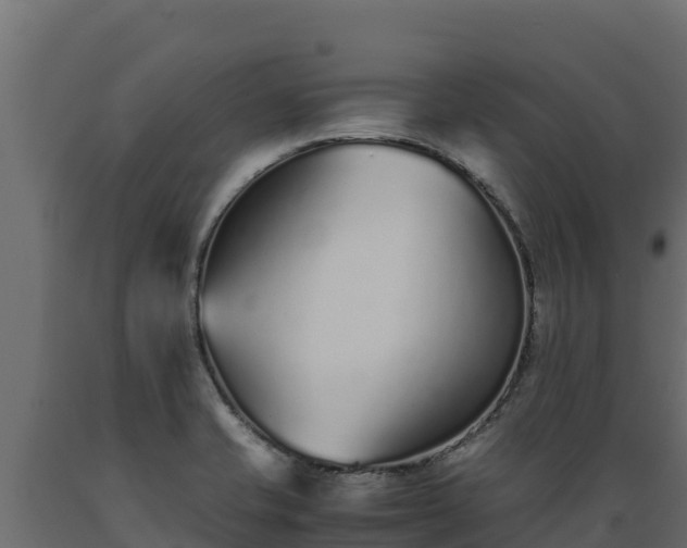 X0000089931421200707061030