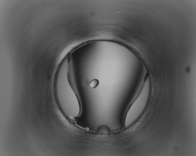 X0000089931422200707061030