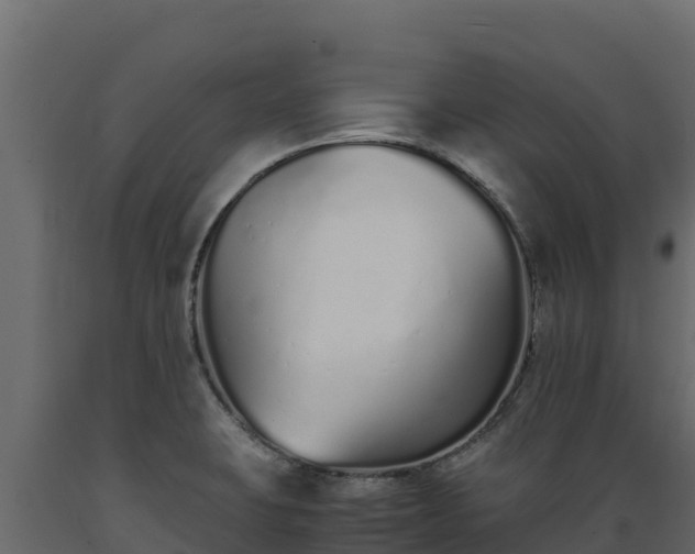 X0000089931423200707061030