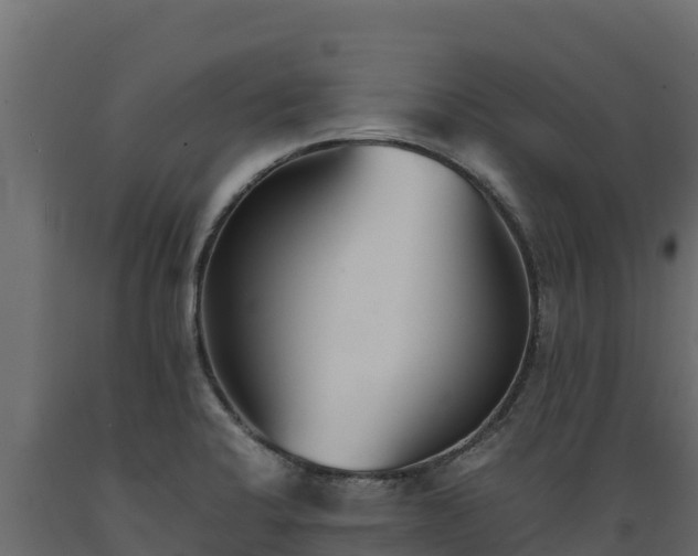 X0000089931424200707061030