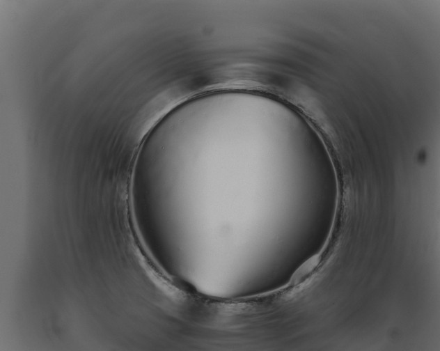 X0000089931425200707061030