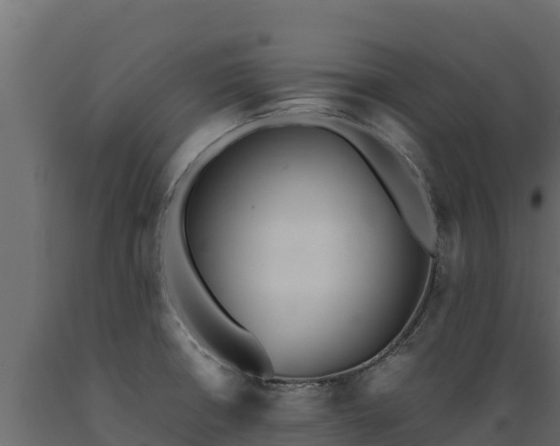 X0000089931426200707061030