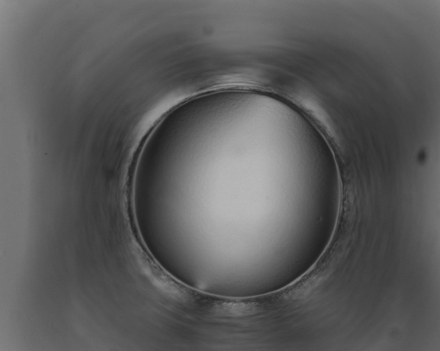 X0000089931427200707061030