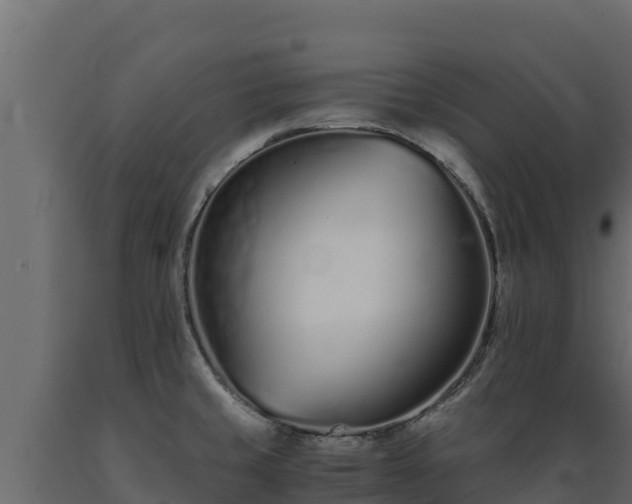 X0000089931429200707061030