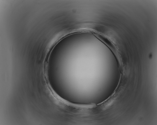 X0000089931430200707061030