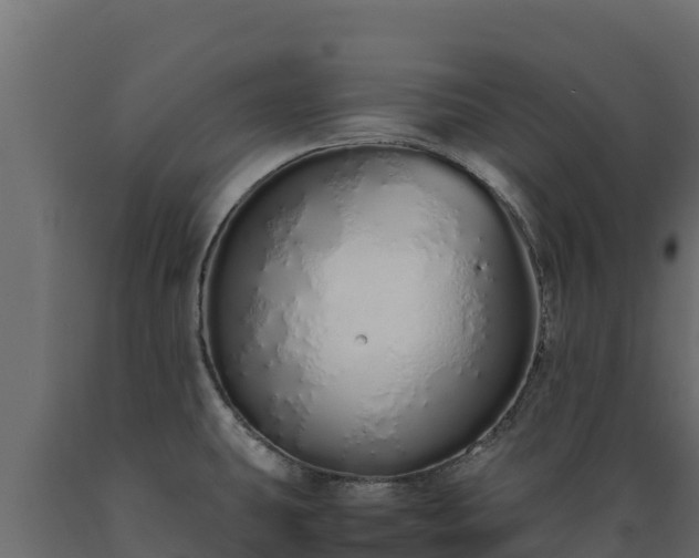 X0000089931431200707061030