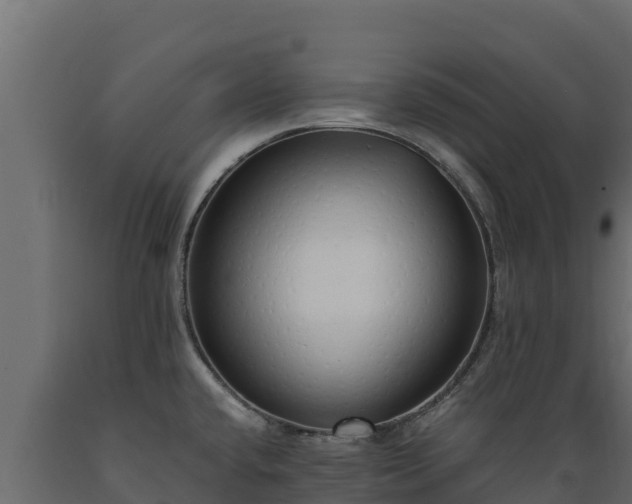 X0000089931432200707061030