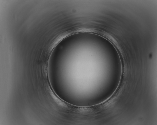 X0000089931433200707061030