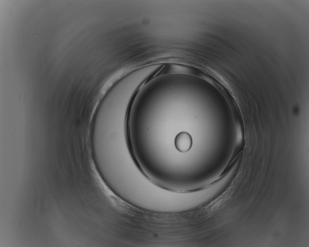 X0000089931434200707061030