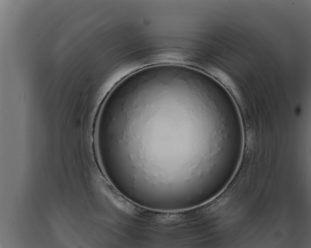 X0000089931435200707061030