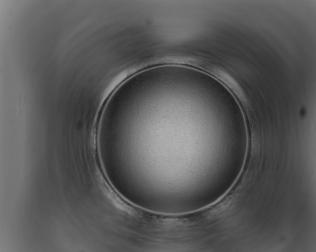 X0000089931436200707061030