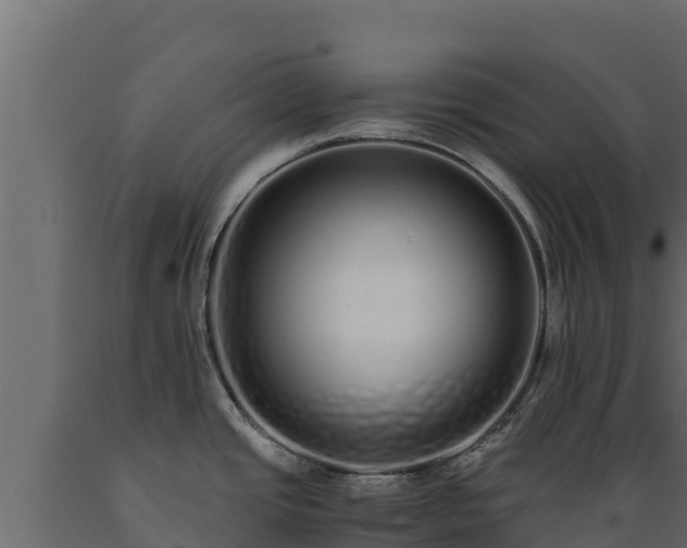 X0000089931437200707061030