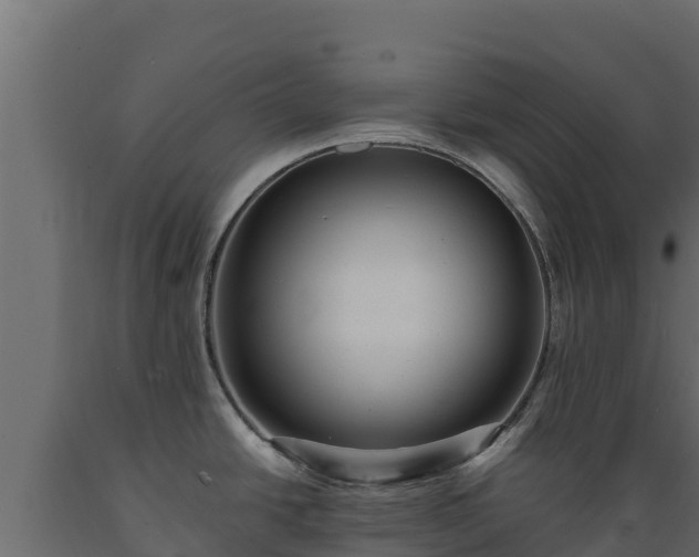 X0000089931438200707061030