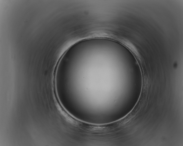 X0000089931439200707061030