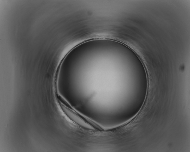 X0000089931440200707061030