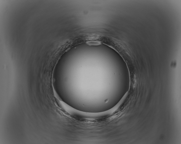 X0000089931441200707061030